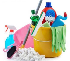 household maid services